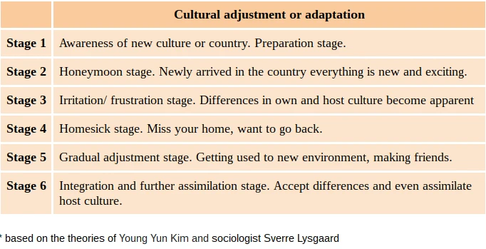 Cultural adjustment or cultural adaptation