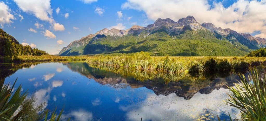 Living in new zealand 