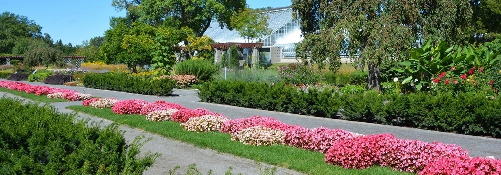 Moving from the UK to Montreal