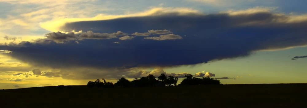 removals to Johannesburg