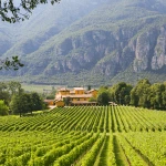 Expat Blog - Sarah's Insights on Moving Preparations to Italy